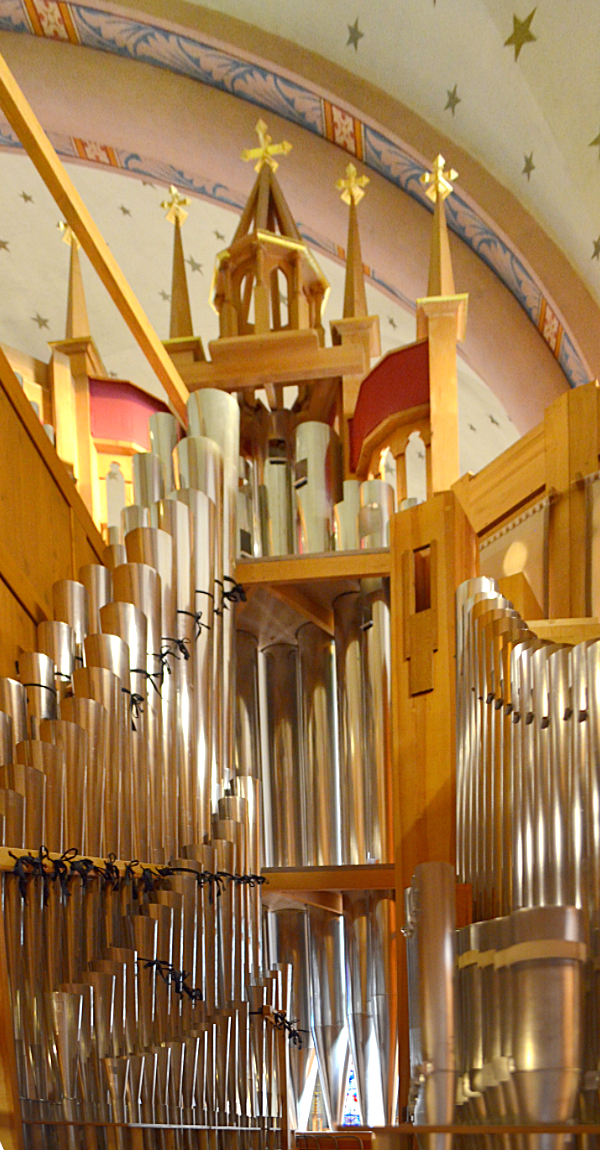 Paschen Kiel organ